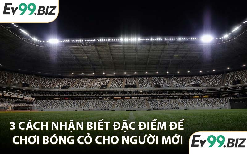 3 cách nhận biết đặc điểm để chơi bóng cỏ cho người mới