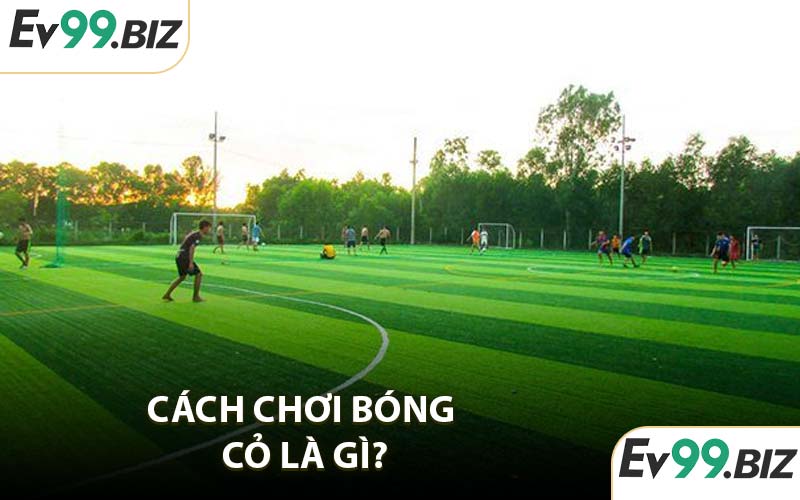 Cách chơi bóng cỏ là gì?