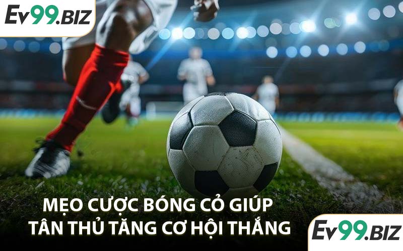 Mẹo cược bóng cỏ giúp tân thủ tăng cơ hội thắng
